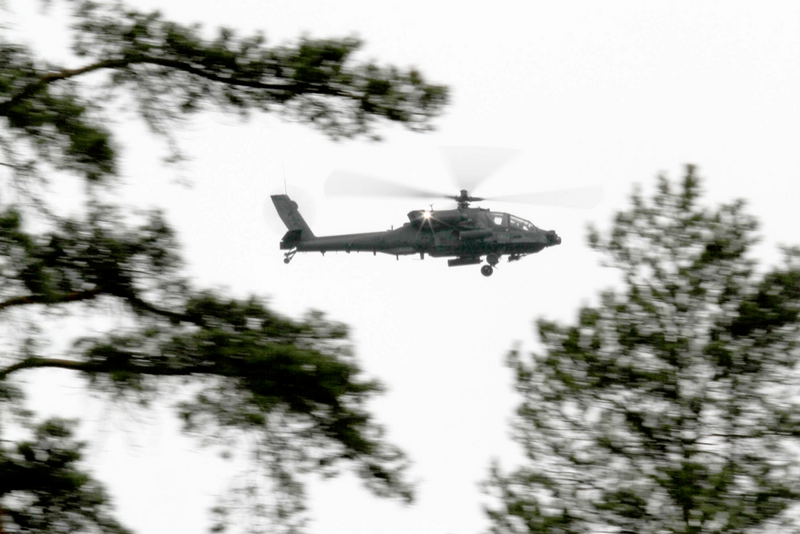 File:1000w q95fdfdf.webp