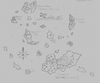 Curabel Khel Map.jpg