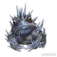 Glacier Toad.jpg