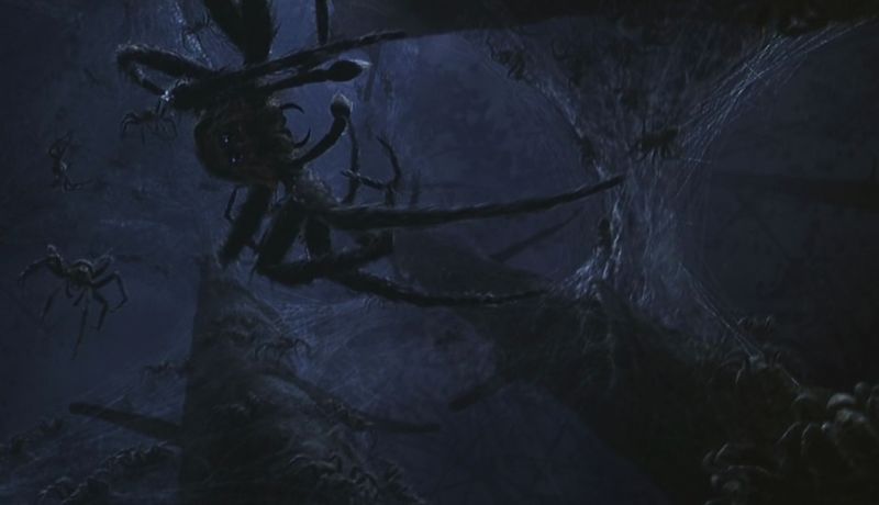 File:0502-hairyspiders.jpg