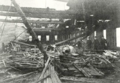 Thumbnail for version as of 12:26, 13 October 2025