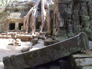 Temple Ruins (Ta Prohm in Cambodia was built by the Khmer King Jayavarman VII as a Mahayana Buddhist monastery and university)